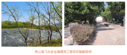 1667442239254446.png image.png